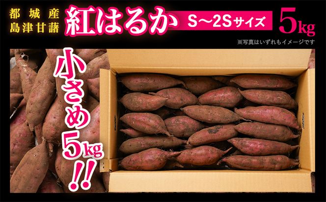 先行受付!【11月お届け】島津甘藷　熟成紅はるか 5kg(S～2S)_LE-A7-001-5kg-m-11