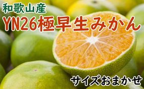 【産直】YN26極早生みかん約5kg（2S～Mサイズおまかせ）※2026年9月中旬～2026年10月中旬頃に順次発送【tec800A】