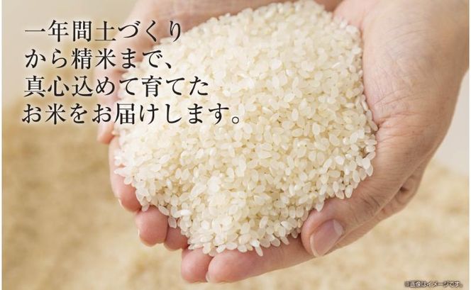 令和7年産 ｜無洗米｜ 魚沼産 コシヒカリ 5kg お米 こしひかり 新潟 （お米の美味しい炊き方ガイド付き） 精米 ご飯 ブランド米 銘柄米