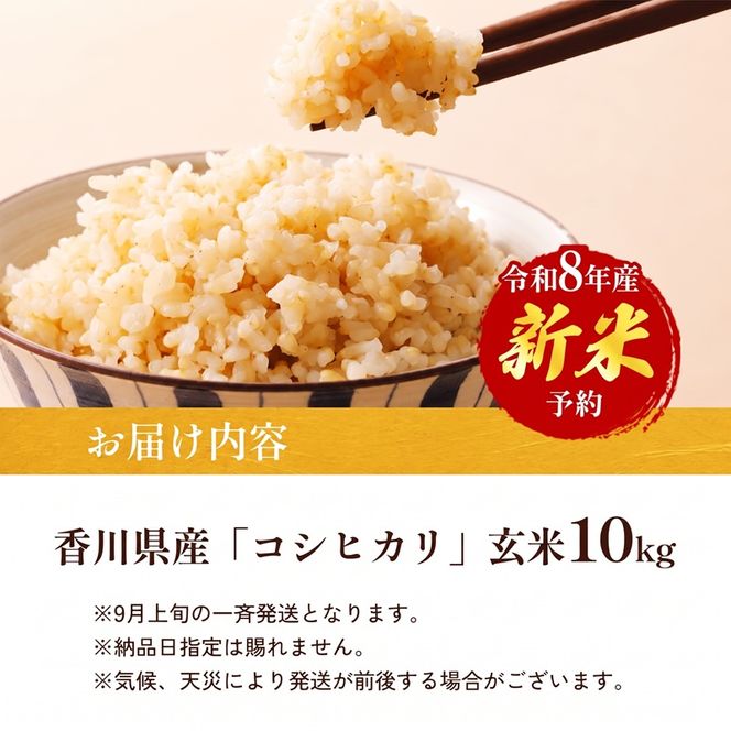 米 お米 コシヒカリ 新米 香川県産 令和8年産 10kg 玄米 さぬき米 讃岐 ブランド米 銘柄米 良食味 瀬戸内 ご飯 主食 和食 こしひかり 国産 ライス 食卓 家庭用 自宅用 ギフト 贈答 お取り寄せ 小路農園 香川県 東かがわ市 46312585◆