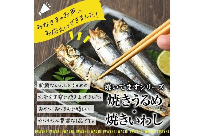 焼き うるめいわし 丸干し・焼き いわし 丸干し セット(総計54尾) 焼いてますシリーズ 小分け 国産 冷凍 国産 魚 海鮮 おつまみ おかず 惣菜 簡単調理 大分県 佐伯市【DL25】【鶴見食賓館】