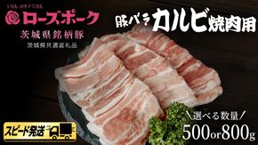 【 スピード 発送 】＼ 選べる内容量 ／【 ローズポーク 】 豚バラ カルビ 焼肉 用 500g / 800g (茨城県共通返礼品) 肉 お肉 豚肉 国産豚 国産 銘柄豚 ブランド豚 豚ロース 焼肉 BBQ