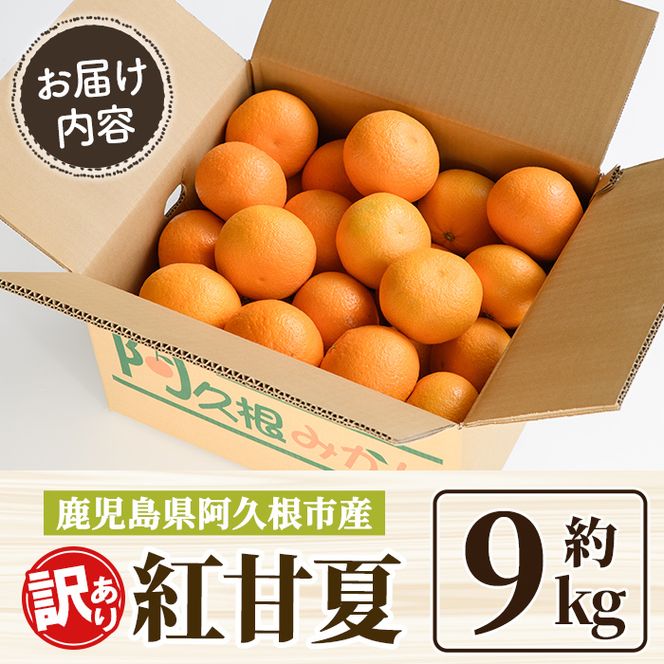 ＜先行予約受付中！2027年2月上旬以降順次発送予定＞ 訳あり！紅甘夏 (約9kg) 国産 紅甘夏 柑橘 果物 フルーツ デザート 果実 期間限定 数量限定 【古田果樹園】akn093-12
