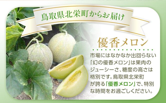 786.【先行予約】幻の「優香メロン」うれしい！3~4玉入 　※2026年６月下旬より順次発送予定 313726_AS011