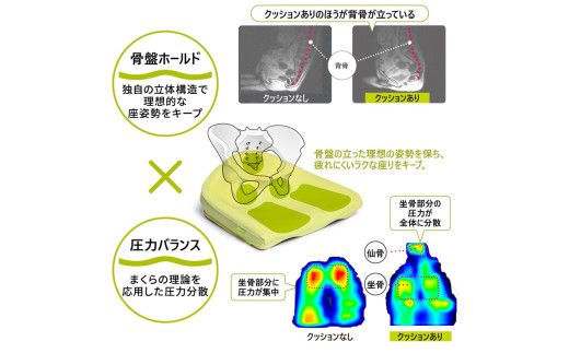 【nishikawa/西川】 Keeps(キープス)for Kids／ラベンダー【P379W】（滋賀県　近江八幡市）