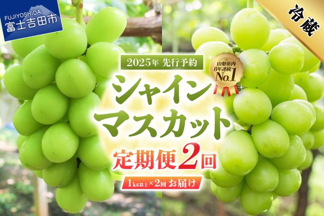 【2025年先行予約】【2回定期便】ジューシーで甘さ抜群 厳選 シャインマスカット 1kg以上×2回配送 山梨県産 ぶどう 果物 フルーツ 旬 山梨県 高級 2025年 先行予約 山梨 富士吉田 フルーツ 富士吉田市