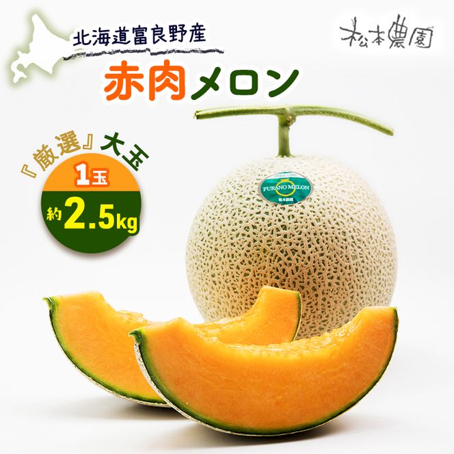 【2026年6月下旬より発送】北海道 富良野 赤肉 メロン『厳選』大玉 1玉 約2.5kg (松本農園) メロン フルーツ 果物 新鮮 甘い 贈り物 ギフト 道産 ジューシー おやつ ふらの ブランド 夏