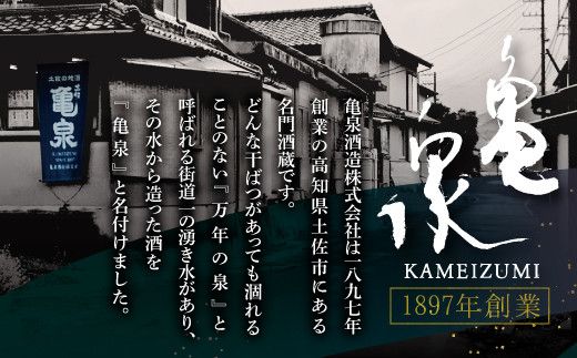 純米吟醸原酒 CEL-24 1800ml (生酒) 2本セット お酒 酒 さけ 日本酒 純米吟醸 一升瓶 1.8リットル 原酒 度数 14度 地酒 亀泉 cel24 セル24【株式会社とさもん】 [BQAE064]