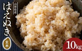 FYN6-282 令和7年度 山形県産 はえぬき 玄米 10kg(5kg×2) お米 米 ごはん ご飯 げんまい 銘柄米 ブランド米 2025年 自宅 家庭 贈り物 プレゼント 贈答 ギフト 食品 山形県 西川町 月山