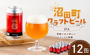 沼田町クラフトビール IPA 12缶 地ビール ビール 酒 アルコール アルコール飲料 沼田町 北海道 n-0265