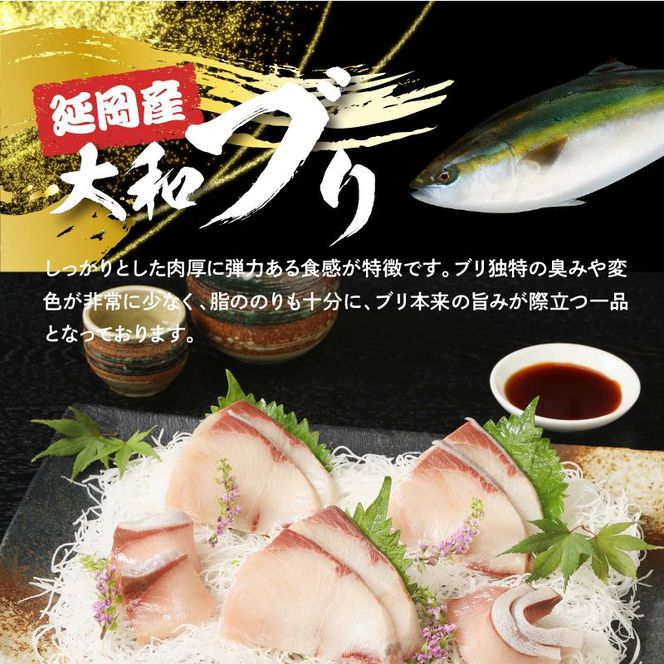 どっさり大和ブリ 切り身　N072-YC118