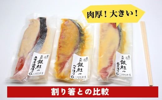 【12ヵ月定期便】【セット】干物屋の天然銀鮭3種ずつセット（西京漬け、味噌漬け、粕漬け）9切セット ※北海道・沖縄・離島への配送不可