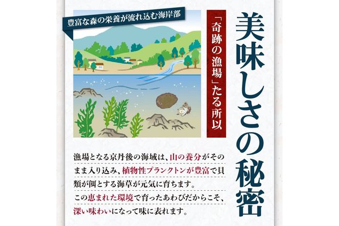 活きたまま届きます！ 天然黒アワビ 海水に酸素入りの特殊梱包 1000g入りおすすめセット　UO01022