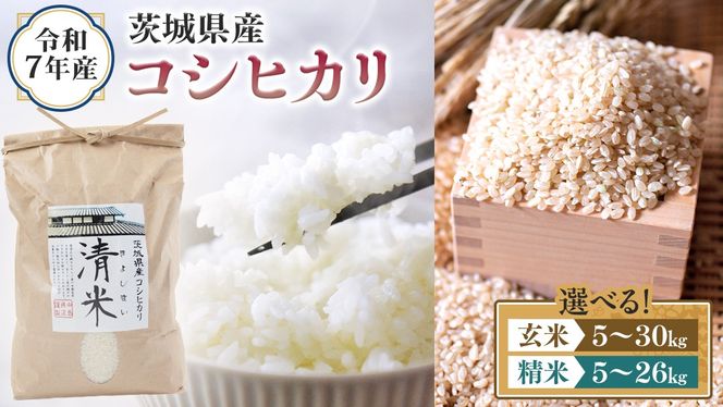 y錧΂݂炢sz_ Iׂe ^ ߘa7NY 錧Y RVqJ i 5kgE10kgE26kg /  5kgE10kgE30kgj   LV}C Ђ  R  P  錧Y Y    R [EH26-NT00]