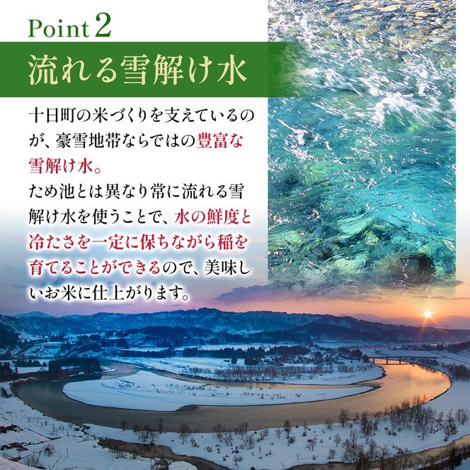 令和7年度産【十日町産】 魚沼産コシヒカリ15kg 米 お米 こしひかり 精米 新潟 