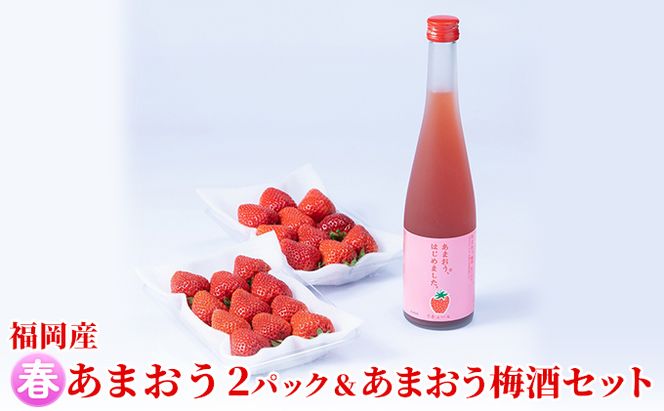 いちご あまおう 2パック 春 ＆あまおう梅酒 あまおうはじめました。 500ml×1本セット 配送不可 離島 お酒 アルコール 苺 フルーツ 飲み会 甘いお酒 宅飲み 果物 詰め合わせ 