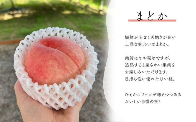 【2026年先行予約】まどか 白桃 ご家庭用 5-7玉入 (岡山県産)【KF-A023-03】