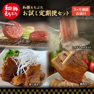 【定期便3回】和豚 もちぶた お試しセット 3ヶ月連続 こだわりのちょっと贅沢 ソーセージ 角煮 もち豚 豚肉 ポーク 肉 豚 ぶた ブタ 豚ロース 加工肉 レトルト レトルト食品 加工肉 アウトドア キャンプ バーベキュー