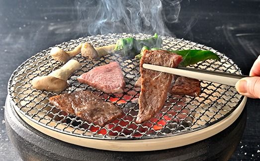 【森三商会】4等級以上の未経産雌牛限定　近江牛特選焼肉500g(カルビ・霜降りバラ）【GM10SM】