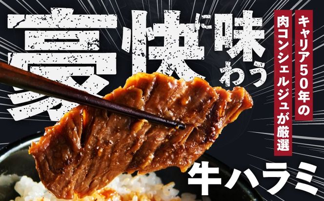 G4018 ガツめし牛ハラミ 1.2kg 追いダレ漬け【300g×4 ハラミはらみ 牛はらみ 牛肉 訳アリ 不揃い 小分け】