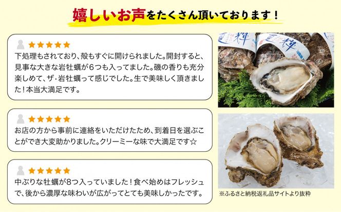 鳥取賀露港 天然岩がき「夏輝」セット【かねまさ・浜下商店】 312011_AZ002