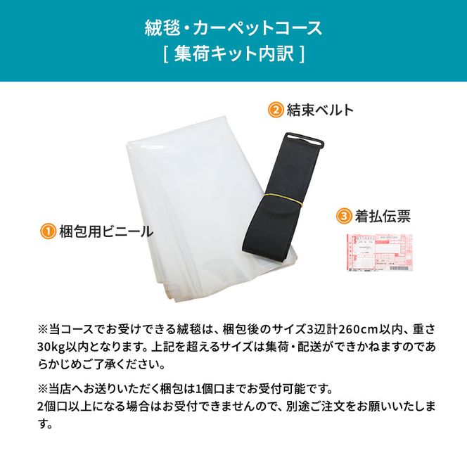クリーニング 絨毯 クリーニングクーポン リナビス ラグ カーペット 玄関マット 電気カーペット 洗濯 防ダニ 高品質 せんたく便 宅配クリーニング チケット 券 サービス 静岡 静岡県 袋井市