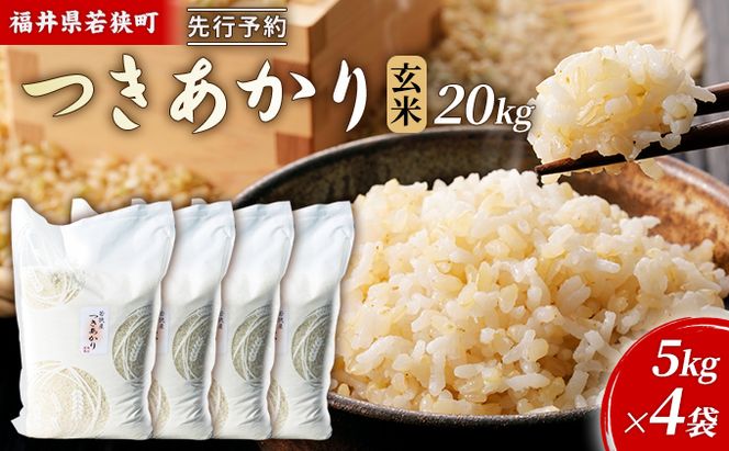 令和8年産福井県若狭町つきあかり（一等米）玄米 20kg（神谷農園） 5kg×4袋 お米 ブランド米 銘柄米 ご飯 おにぎり お弁当 産地直送 和食 主食