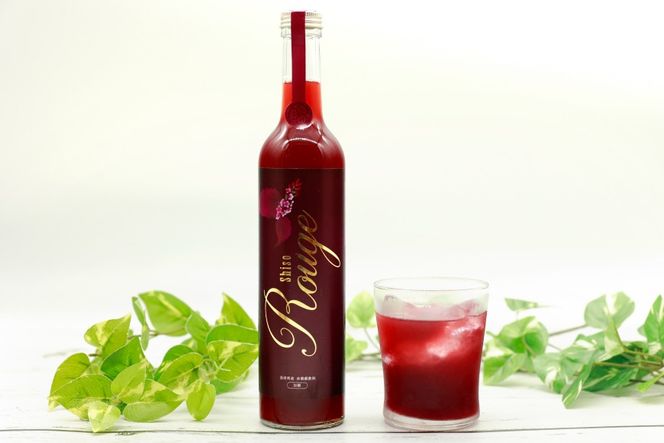 AJ307 感動の赤しそジュース 瓶 500ml 感動の青しそジュース 瓶 500ml [ しそジュース 紫蘇ジュース 赤しそ 青しそ 長崎県 島原市 ]