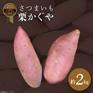 2025年度産 さつまいも 栗かぐや 約2kg｜さつまいも 芋 お芋 栗かぐや 渋谷農園 茨城県 行方市(BZ-63)