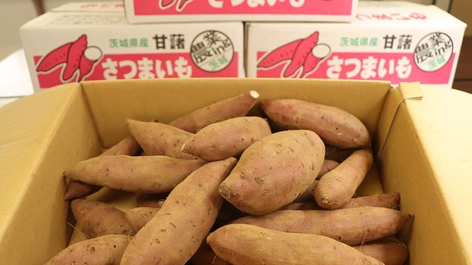 さつまいも【紅はるか】10kg（箱込）の 5kg 2箱セット さつまいも 詰合せ 国産 農園 野菜 サツマイモ 芋 期間限定 デザート スイーツ おやつ プチギフト 贈答用 料理 味噌汁 煮物 生芋 [EJ014us]