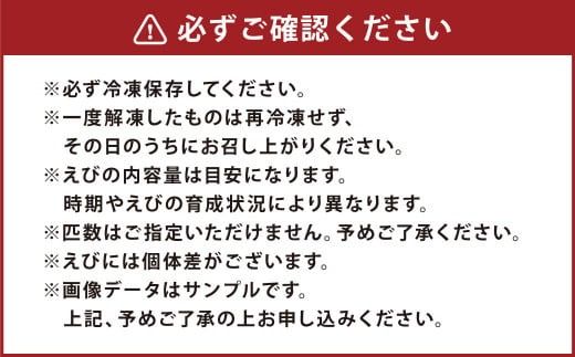 森さん家の冷凍車えび 活き〆冷凍車海老500g（約16～30尾）車海老 くるまえび 車えび 国産 天草の海 冷凍【2024年8月上旬から2025年3月下旬発送予定】