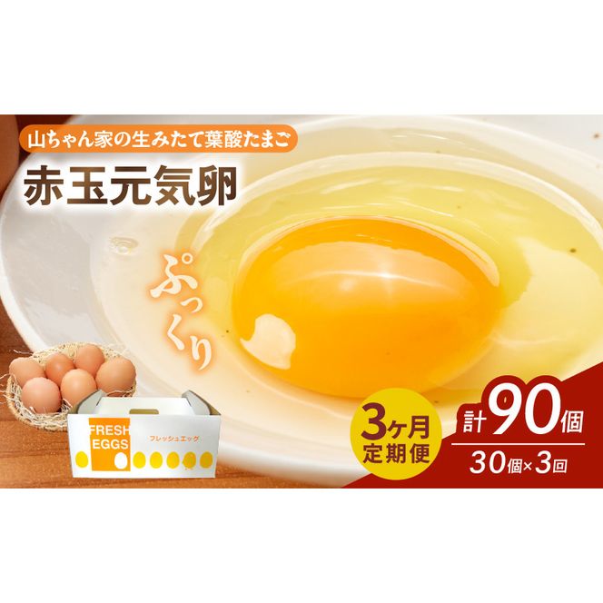 ymqszy3ցzyRƂ݂̐ėt_܂zԋʌCi30jm132Y05-Tn