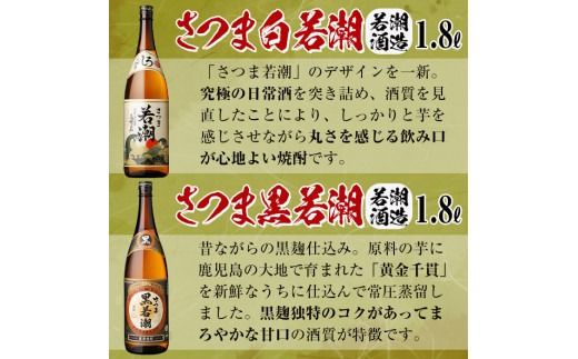 ＜入金確認後、2週間以内に発送！＞志布志焼酎「大きな志」若潮セット 1.8L×計4本 c3-029-2w
