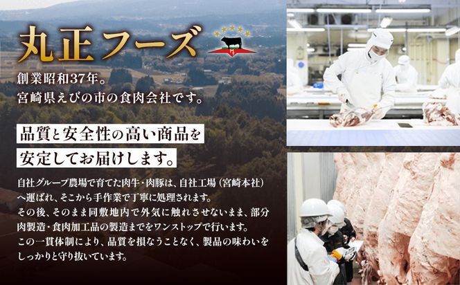 宮崎県産豚肉 トンテキ用300g（ロース100g）×6パック