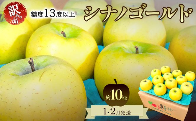 りんご【1月・2月発送】糖度13度以上 訳あり品 家庭用 シナノゴールド 約10kg【青森りんご  果物 フルーツ デザート 食後 青森県産 産地直送】