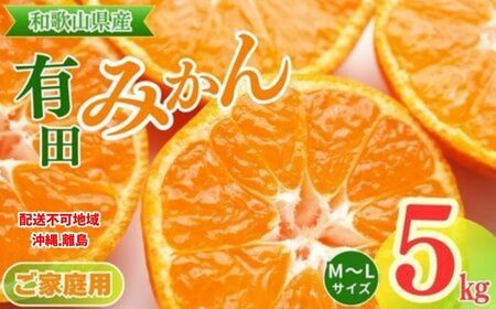 【先行予約】【ご家庭用】和歌山有田みかん約5kg(M、Lサイズ)【美浜町】