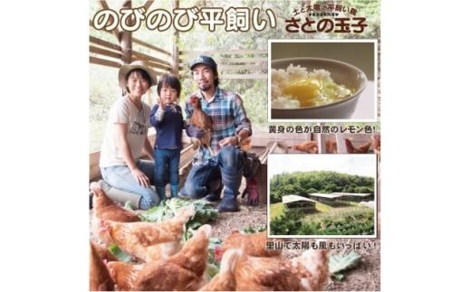 旬の季節野菜ボリュームセット(12品目)&平飼い玉子20個