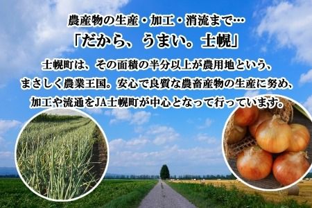 【CF2】《期間限定》北海道 士幌産 たまねぎ 玉ねぎ タマネギ 玉ネギ 玉葱 10kg (2025年12月～発送開始予定)  採れたて オニオン 旬の野菜 期間限定 新鮮 野菜 産地直送 産直 お取り寄せ 送料無料 十勝 士幌町 9000円 【V07】