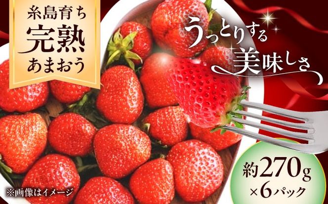 【先行予約】福岡県 糸島市産 完熟 あまおう いちご （約270g×6パック） 【2026年4月以降順次発送】 糸島市 / mhshops / 苺 イチゴ[AKQ003]