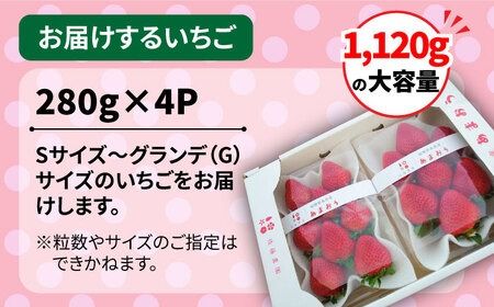 【先行予約受付中・2024年1月下旬より順次発送】【農家直送！】 糸島産 あまおう 280g × 4パック (GおよびSサイズ) 糸島市 / 後藤農園 [AML003] いちご 福岡 ランキング 上位 人気 おすすめ