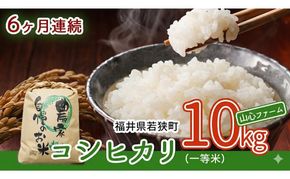 【6ヶ月連続】令和8年産福井県若狭町コシヒカリ（一等米）10kg（山心ファーム）