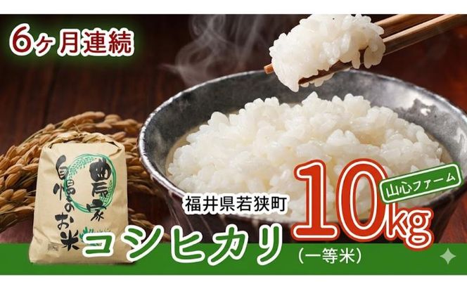 【6ヶ月連続】令和8年産福井県若狭町コシヒカリ（一等米）10kg（山心ファーム）