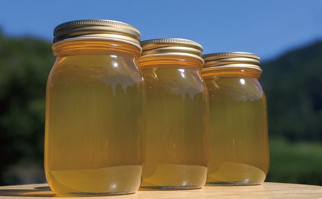 合計1800g 天然蜂蜜 国産蜂蜜 非加熱 生はちみつ 岐阜県 美濃市産 初夏 (蜂蜜600g入りガラス瓶3本セット)B7 深田養蜂のハチミツ