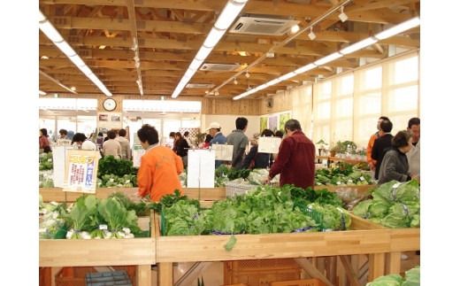 川崎市市内産新鮮野菜・農産物詰め合わせ