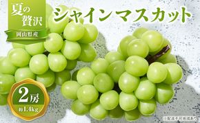 【2026年先行予約】 ぶどう 夏の贅沢 シャインマスカット 2房(1.4kg以上：1房700g以上×2箱）【7月10日から7月30日までに発送】 葡萄 ブドウ 岡山県産 フルーツ 果物 数量限定 期間限定 岡山 里庄町 