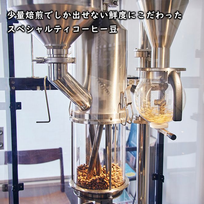 スペシャルティコーヒードリップバック 10種×各1 コーヒー