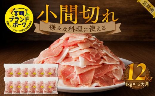 y{茧sz{uh|[NԐ؂12J N061-YG0193