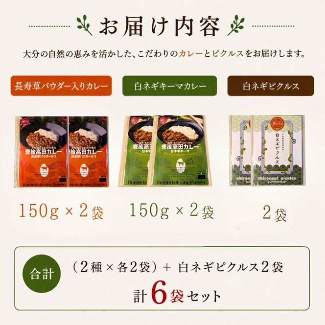 大分素材の健康レトルトカレーと白ネギピクルスセット