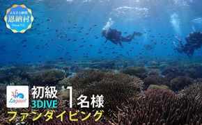 【恩納村ラグーン】ファンダイビング 初級 3DIVE 1名様