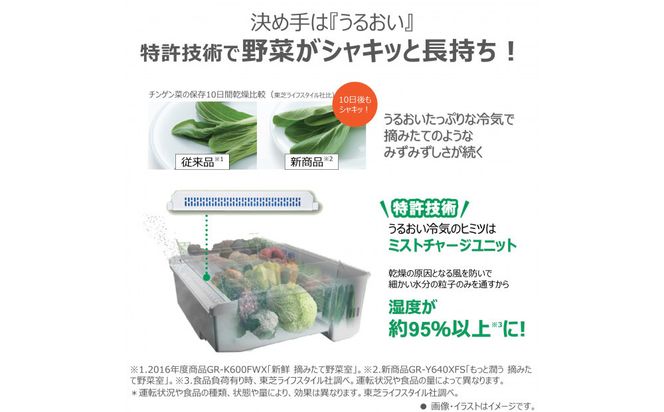 東芝　冷蔵庫【標準設置費込み】　543L　6ドア　両開き　冷凍冷蔵庫　GR-Y540XFS(TW) 141305_KV113